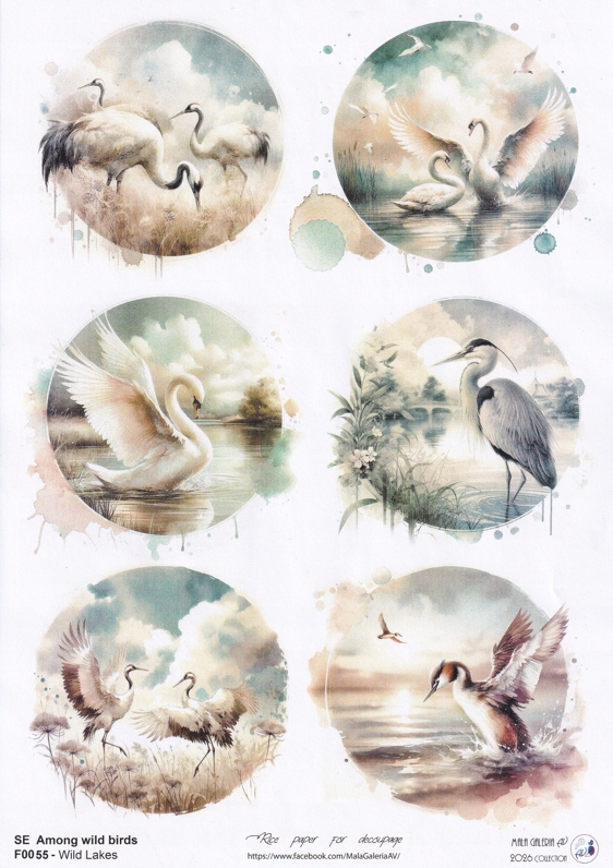 Papier Ryżowy decoupage - Dzikie Ptaki na Jeziorach - proj.AV A4