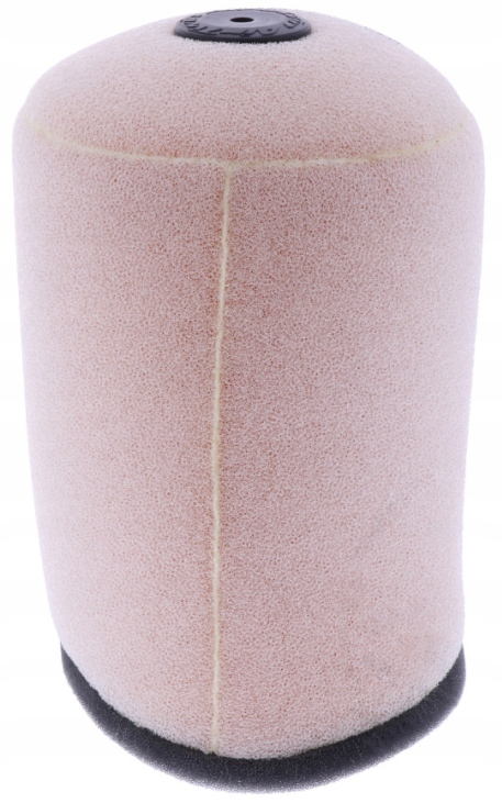 Vzduchový Filtr Honda Trx 450 R Sportrax 06-09 Nový