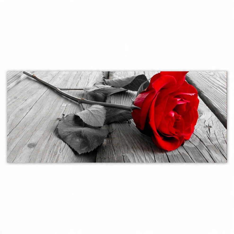 

Fototapety flizelina 250x104 Czerwona róża