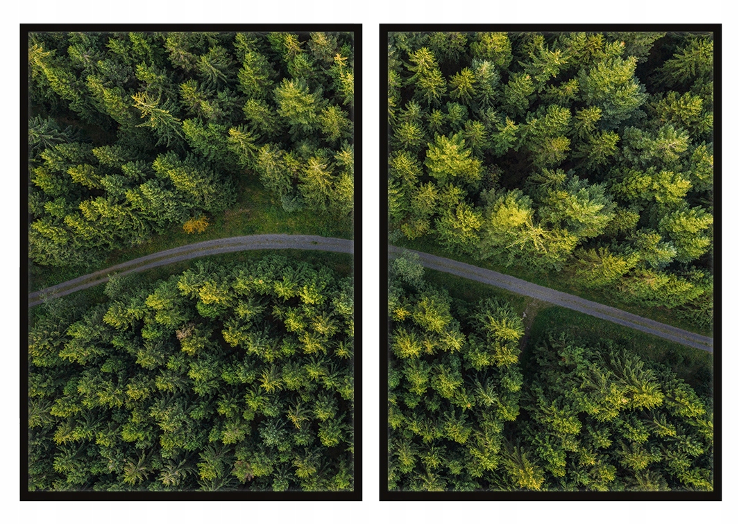 Obrazy V Rámu 53x73 cm Diptych Sada 2 obrazů Cesta Les Cesta P725