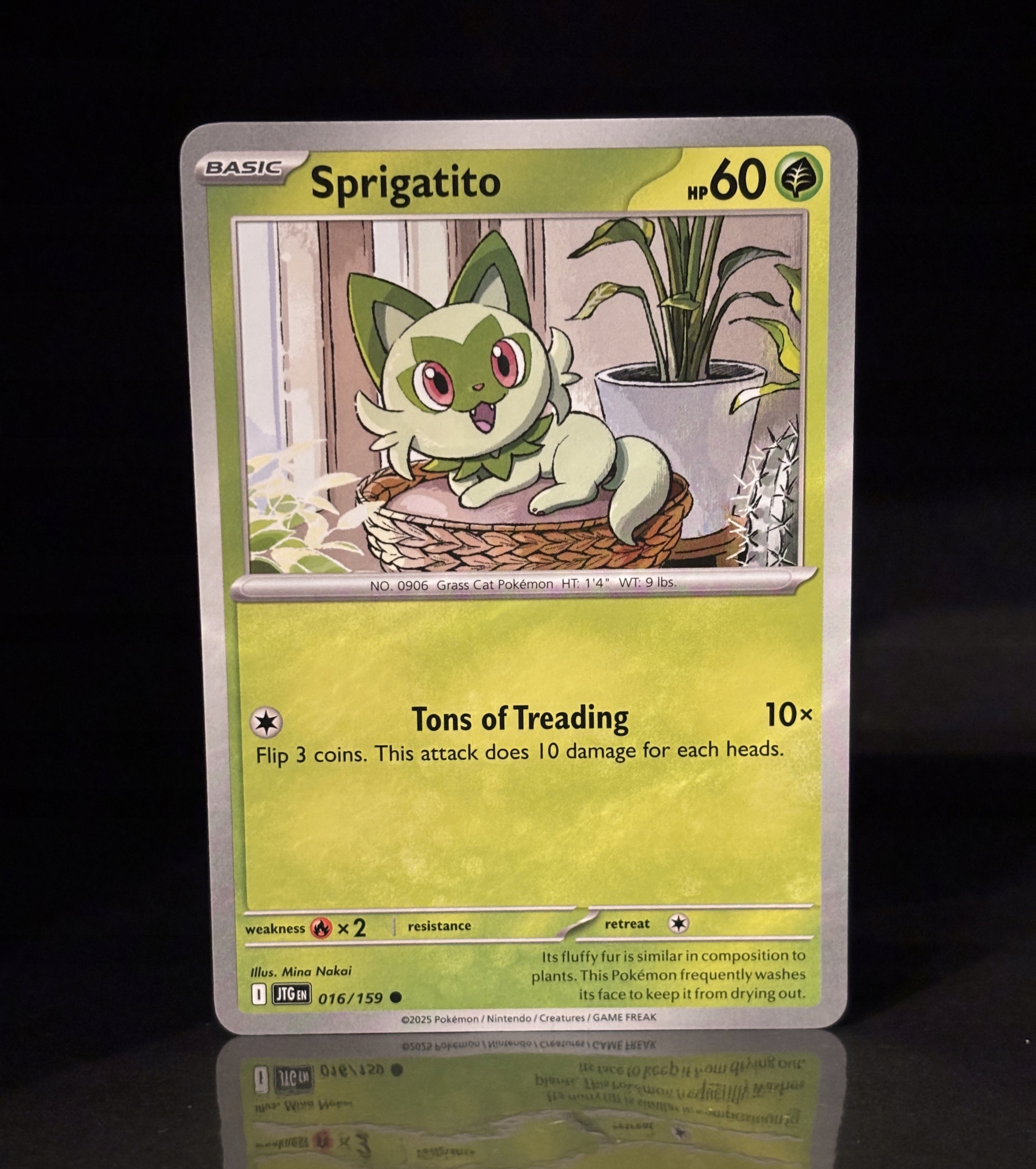 Pokemon Sprigatito JTG 016/159 Karta TCG ENG NM/M