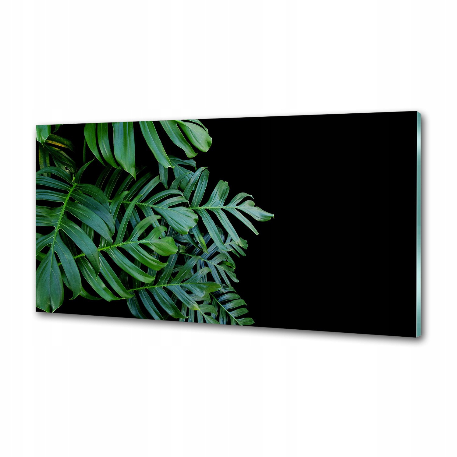 Panel medzi nábytkom v kuchyni Monstera 120x60 Lepidlo
