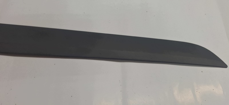 moulding door right front OPEL ASTRA H 24461093