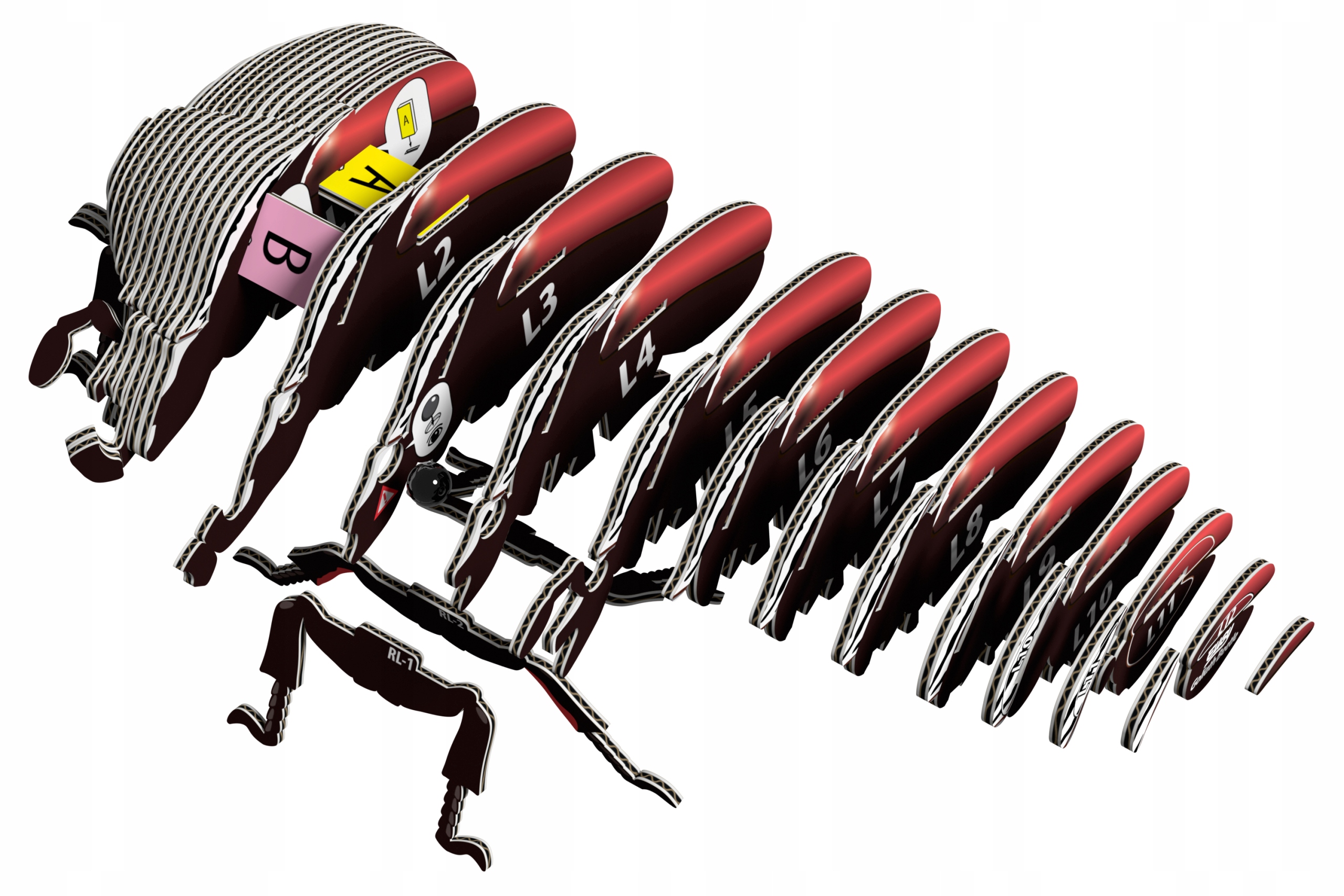 Chrząszcz Goliat Eugy. Eko Układanka 3D EAN (GTIN) 9421036940329