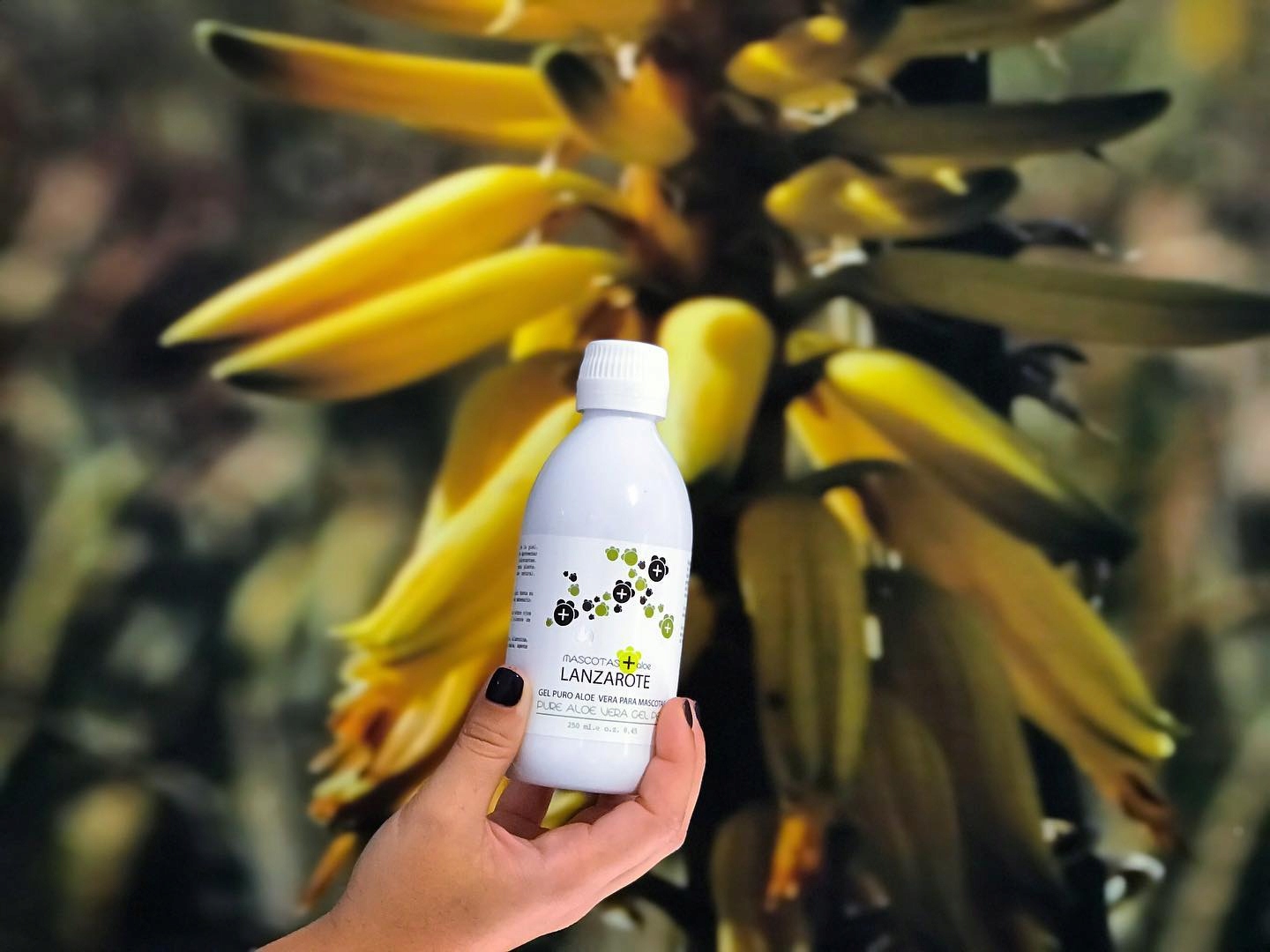 Żel Aloesowy dla zwierząt Aloe Plus Lanzarote