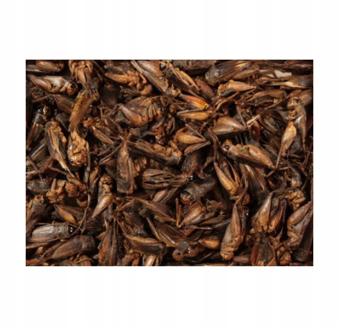 Levně 2N Ip Instalační Krabice Pro Zapuštění