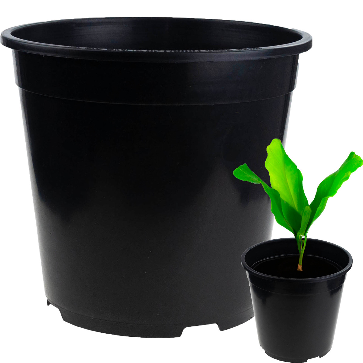 DONICZKA PRODUKCYJNA DONICZKI P24 7,5L OKRĄGŁA ROZSADOWA Z RANTEM 24X24CM