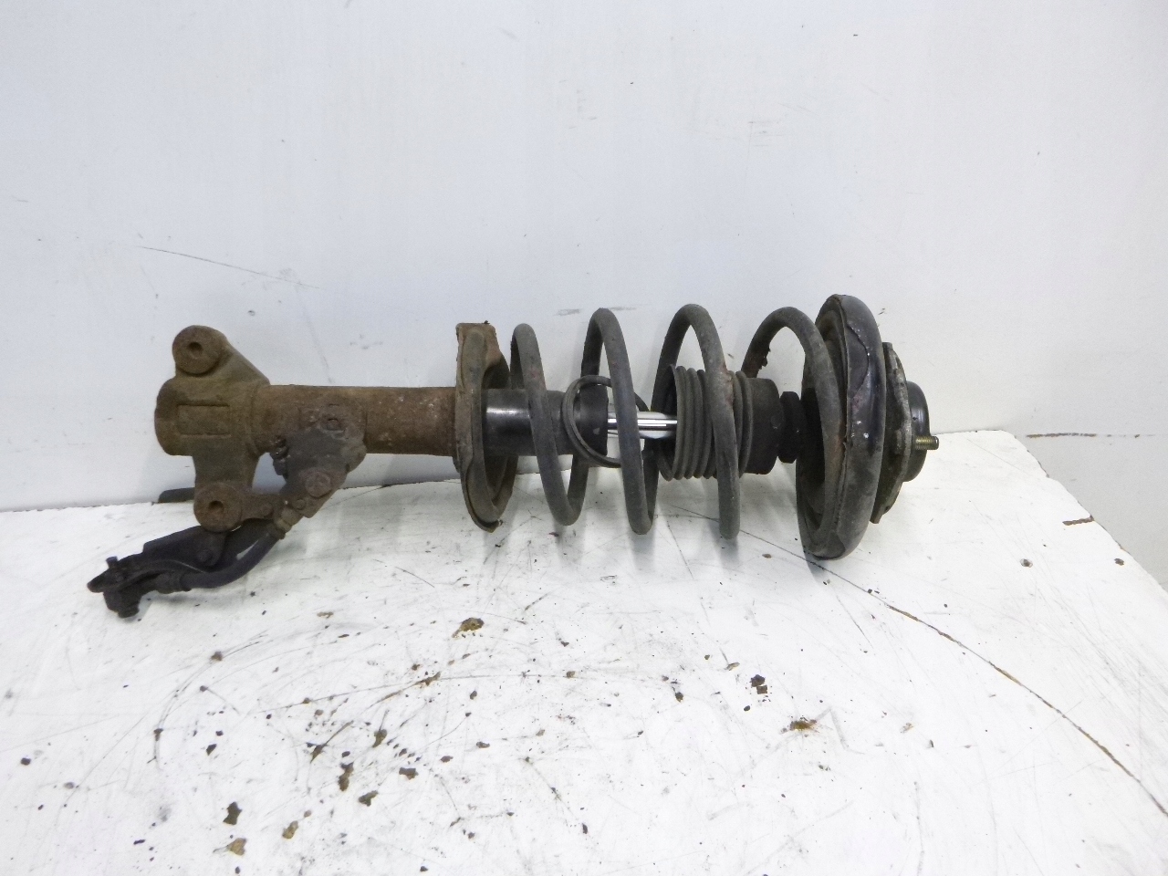 shock absorber front Nissan Primera P12 1.8 02-07r.