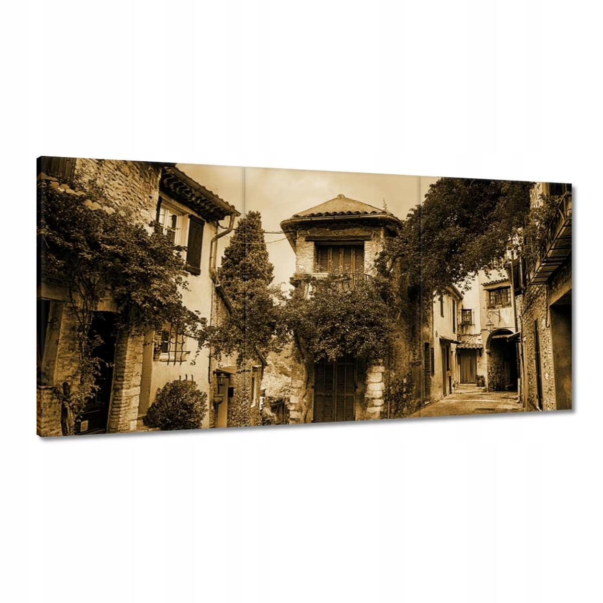 Obrazy 180x90 Kameň s kvetmi