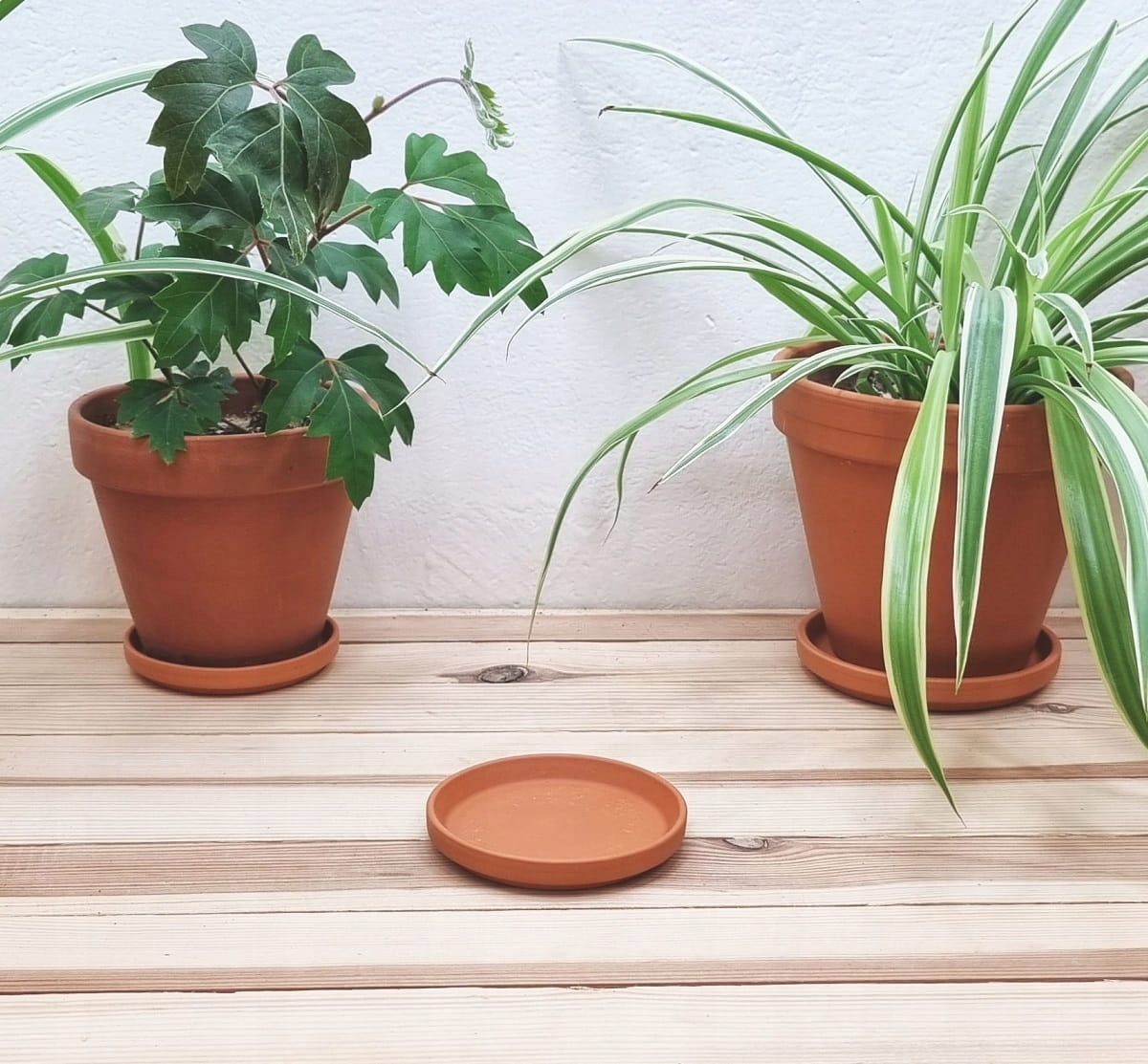 PODSTAWKA GLINIANA do doniczek TERAKOTA 9cm Marka Spang