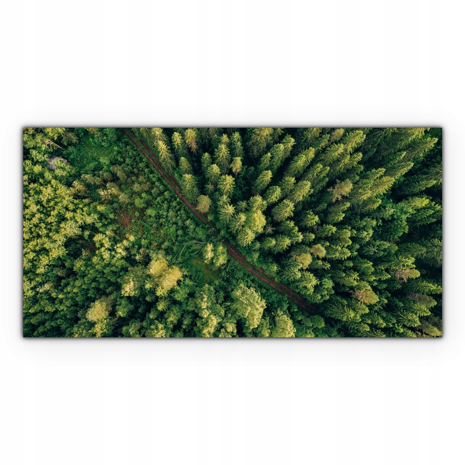 

Canvas na ramie na ścianę 100x50 Droga Las Drzewa