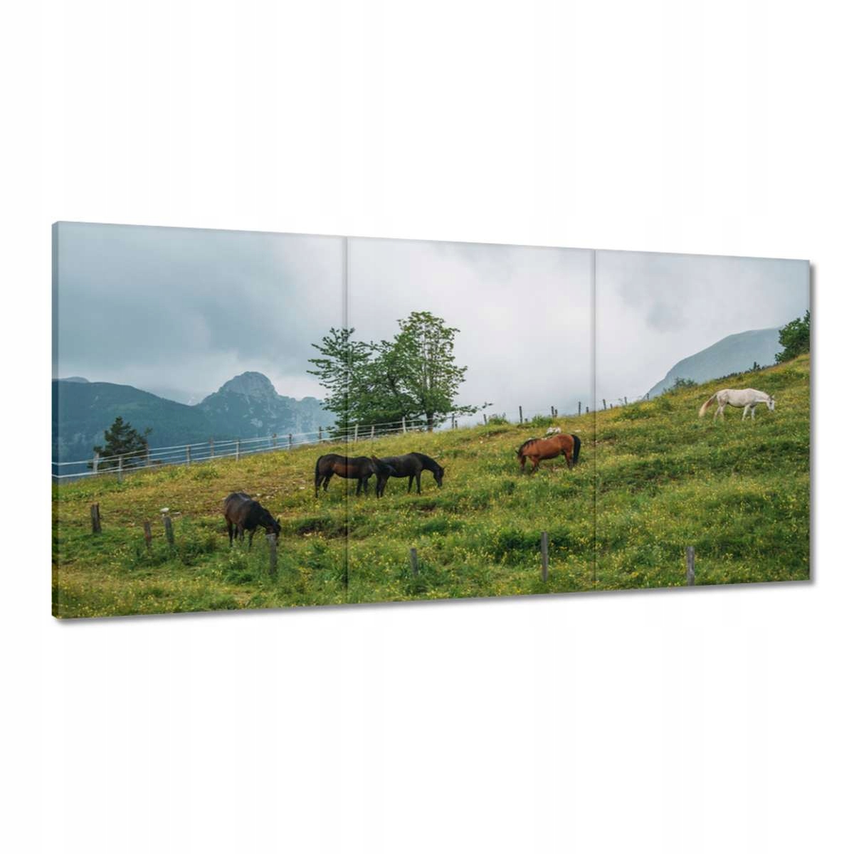 Obrazy 180x90 Krajiny Výhľady Krajiny