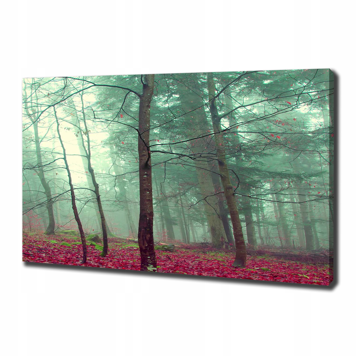 

Foto obraz na płótnie Jesienne liście 100x70 cm