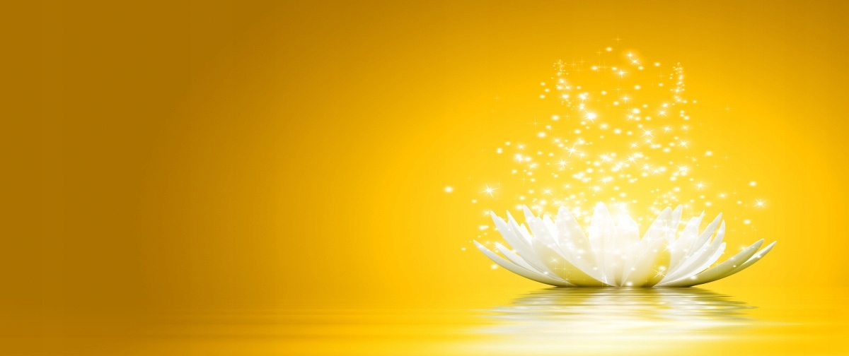 

Tapeta flizelinowa Kwiat lotosu 250x104