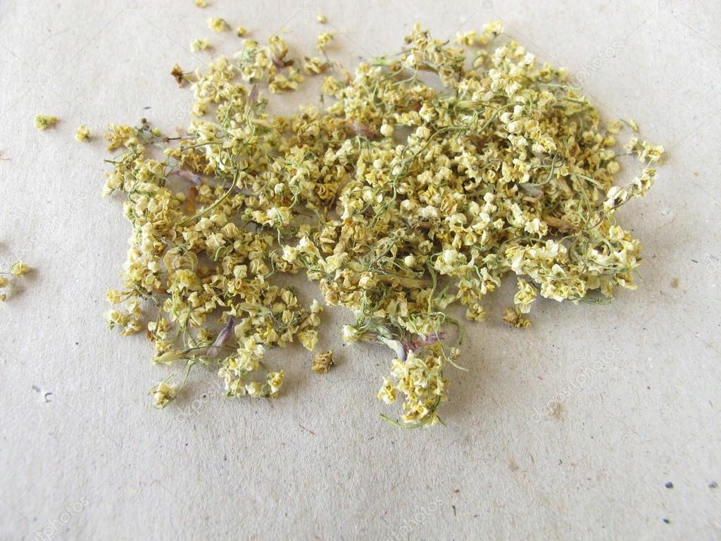 Levně Bez černý Květ černého bezu řezaný sušený Sambucus nigra Mystic.Garden 250 g