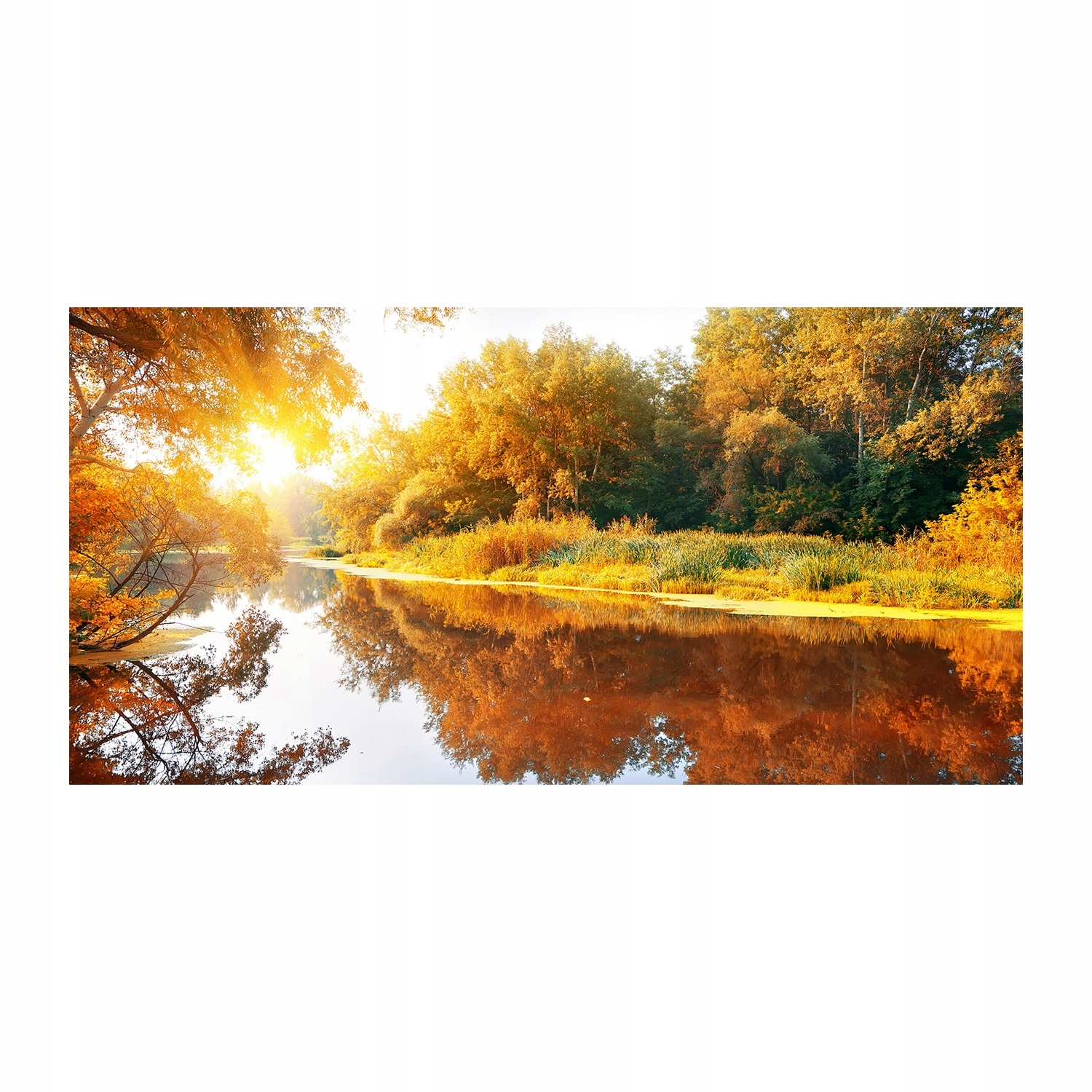 

Foto obraz akryl zdjęcie Rzeka jesienią 120X60 cm