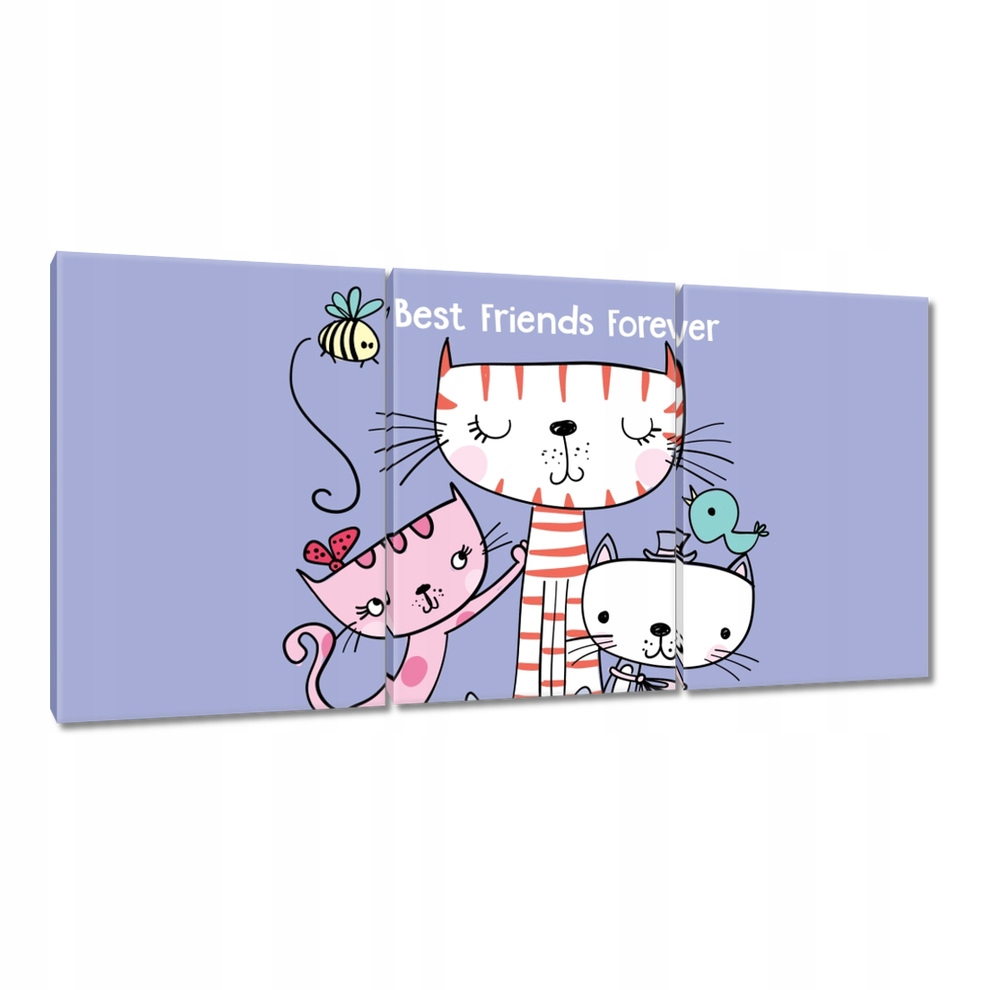 

Obrazy 120x60 Kot Kotek Kotki Koty