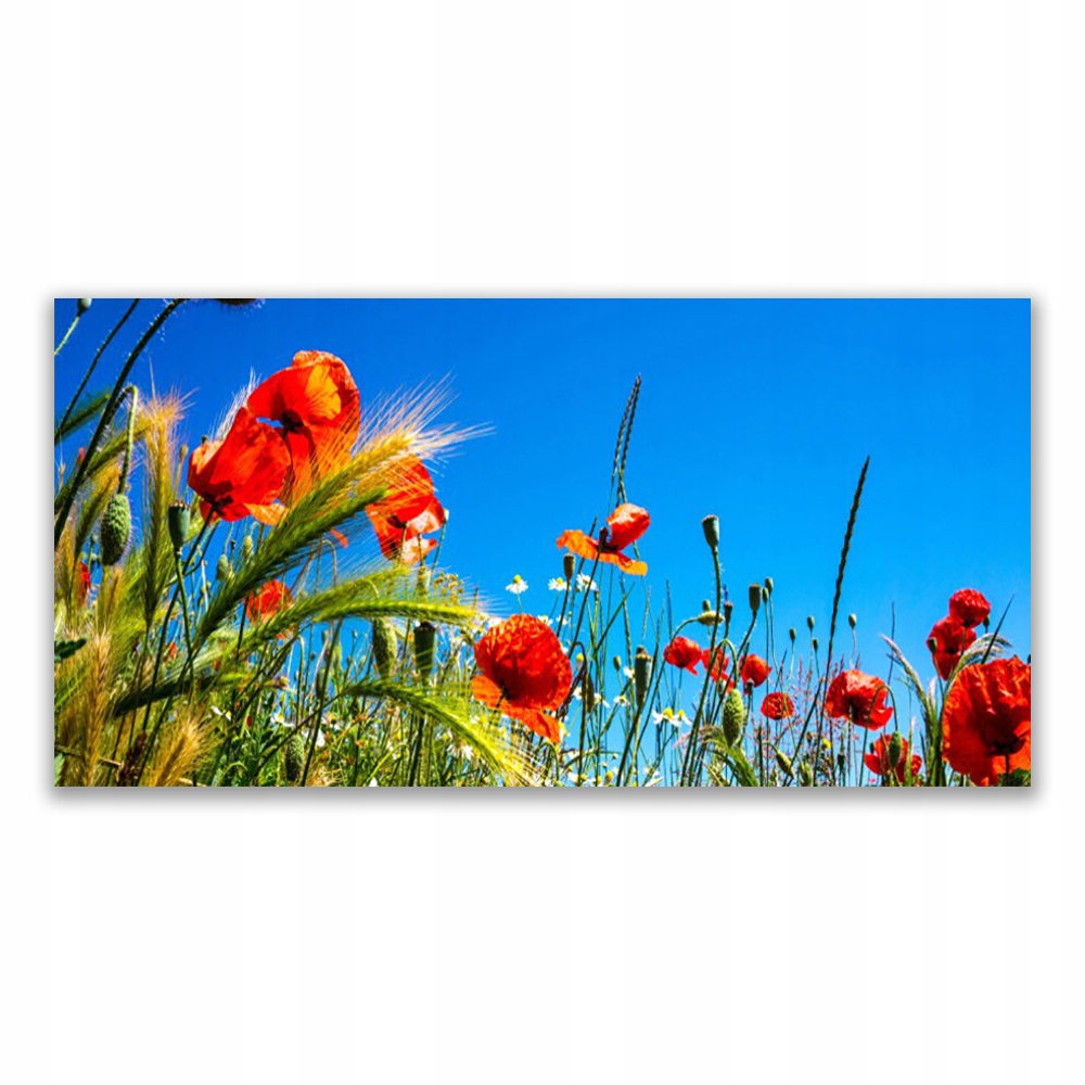 

Fotoobraz nowoczesny 140x70 Kwiaty Maki Pole Trawy