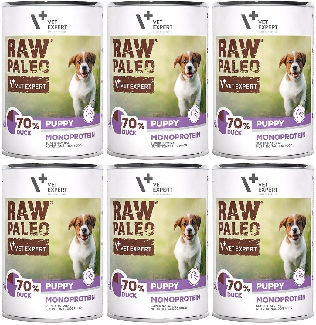 Levně VetExpert Raw Paleo Puppy Kachna 6 x 400 g
