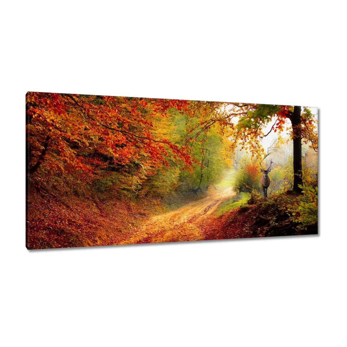 Obrazy 115x55 Jelen v lese