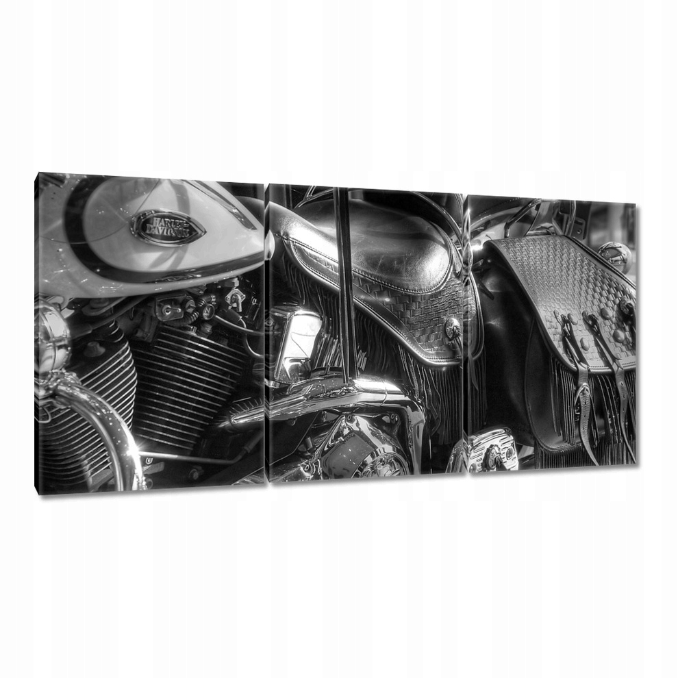 

Obrazy 120x60 Harley Davidson Motocykl