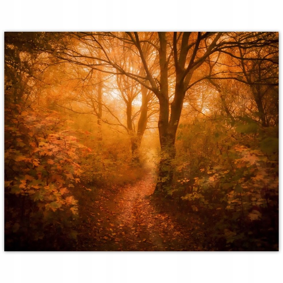 

Plakat 50x40 Pejzaż Krajobraz Widoczek