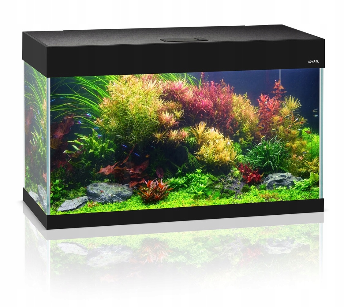 

Aquael Optiset 125L 81x36x51 zestaw akwarium Led