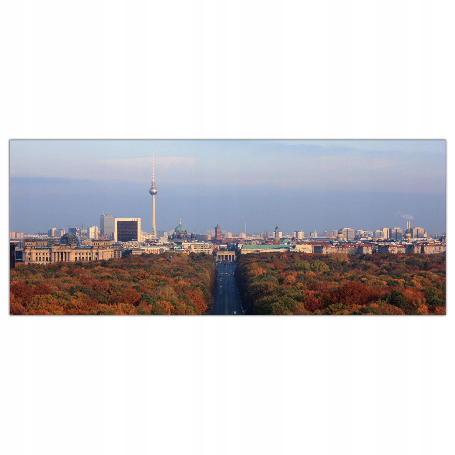 

Obraz na szkle Foto Jesień Natura Drzewa 125x50