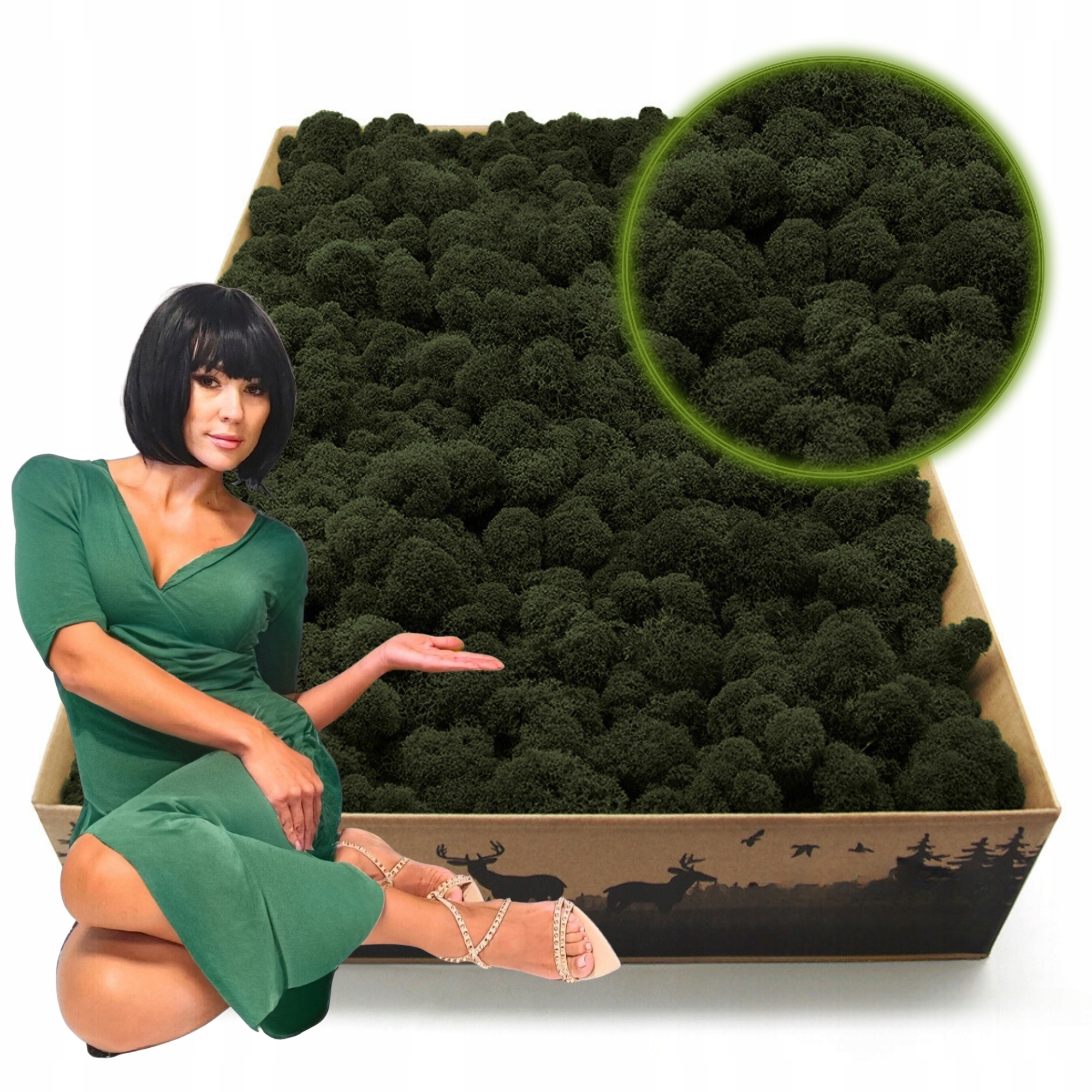 Mech Chrobotek Reniferový finský 2kg Čištěný Premium nejvyšší kvalita