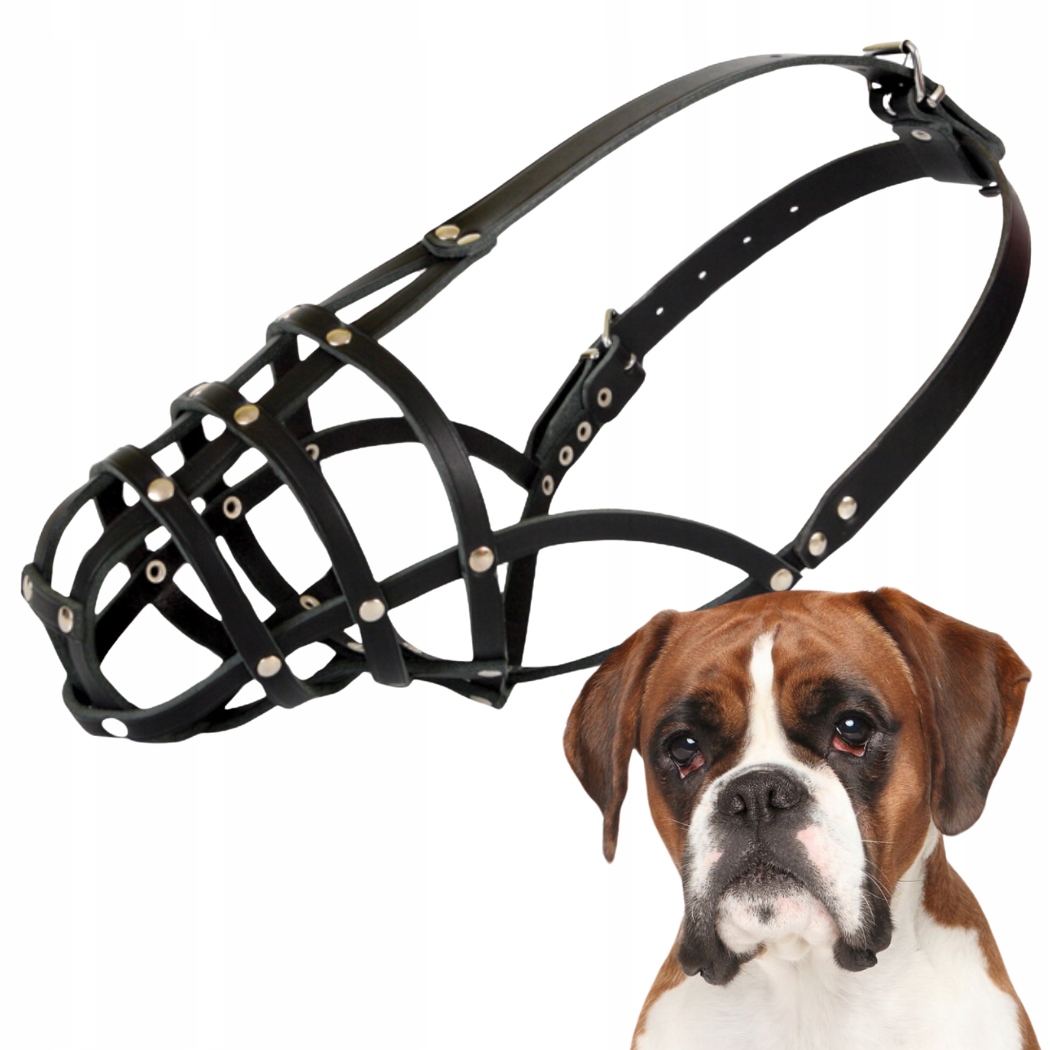 Náhubek pro psa, Dingo Kožený Nýtovaný Č. 16 (obvod 34 cm) Boxer Velký