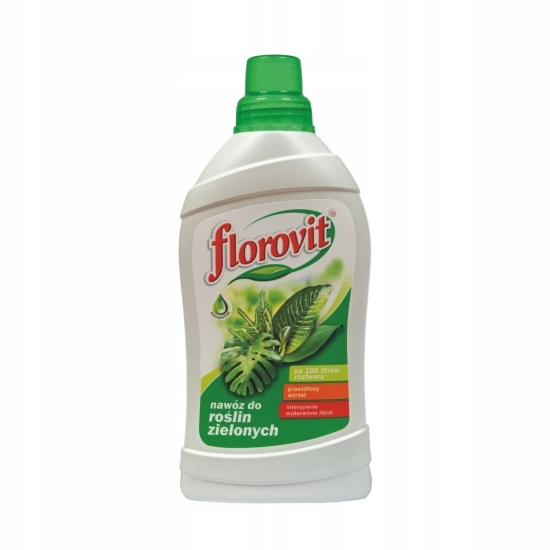 

Nawóz do roślin zielonych Florovit 1kg/ 100L wody
