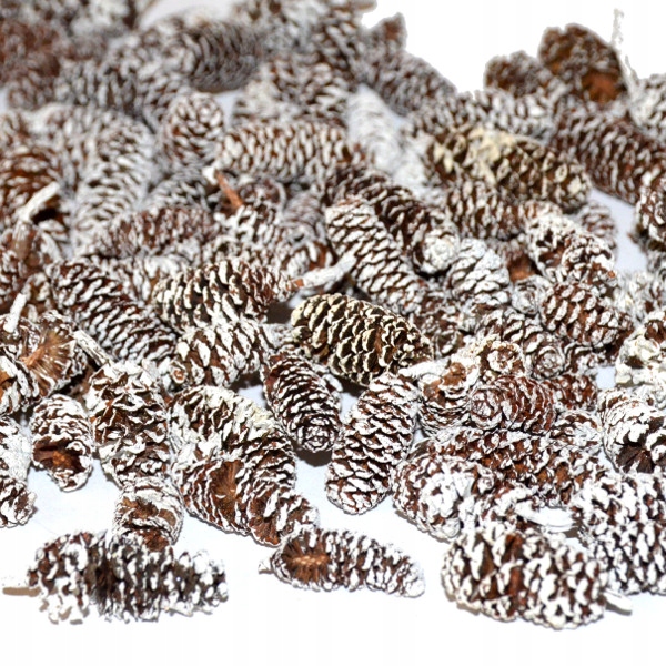 

Susz Szyszki mini Bielone 2-3 cm 500g stroik