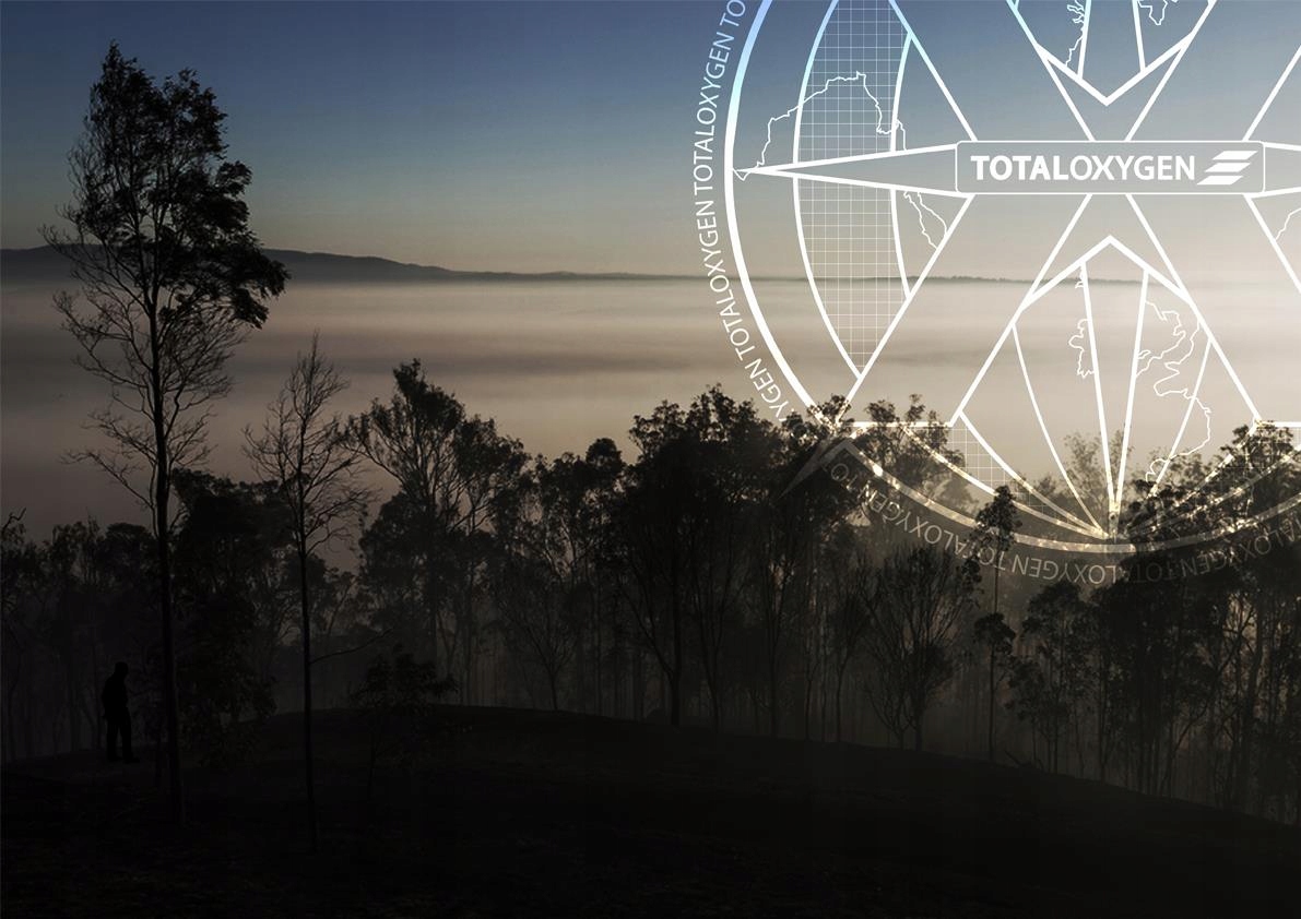 Longsleeve długi rękaw TOTALOXYGEN RedJapan Marka inna