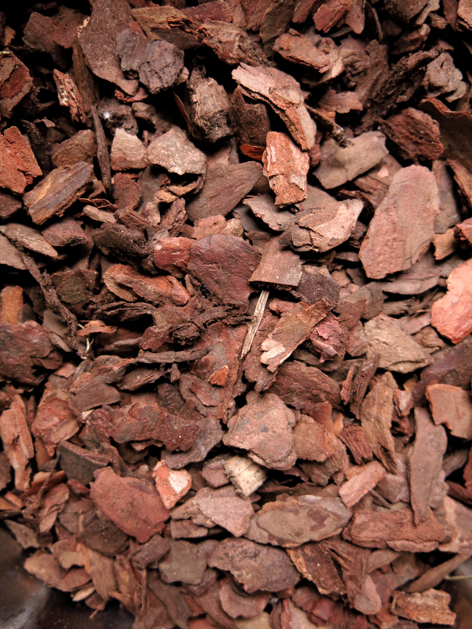 Kora sosnowa premium podłoże 2L Kod producenta PLP-0043