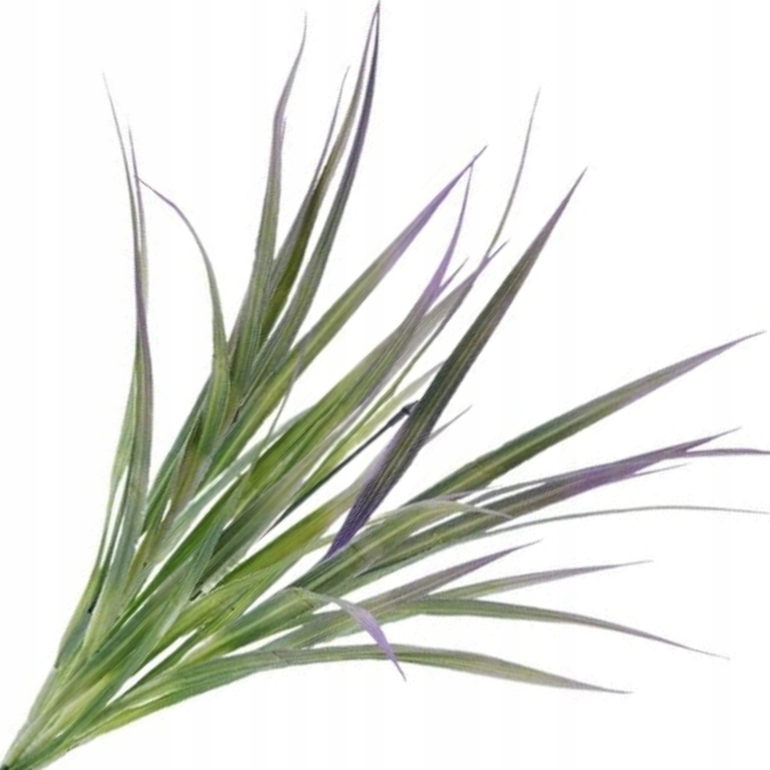 

Bukiet Liści Ozdobnych Gałązki Sztuczne Kwiaty