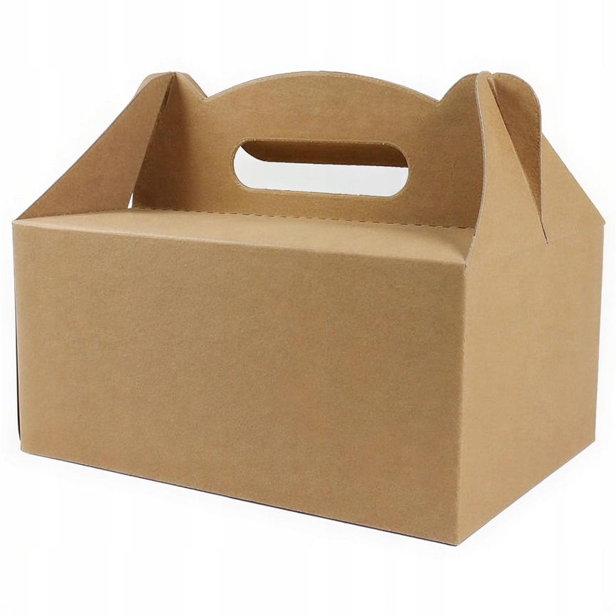 Obědový box s rukojetí 19 x 14 x 9 cm, 50 ks