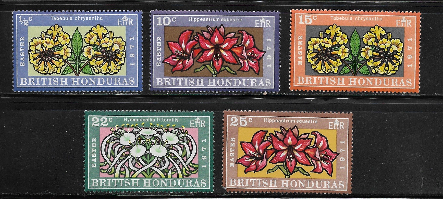 Honduras Brytyjski, 1971 rok