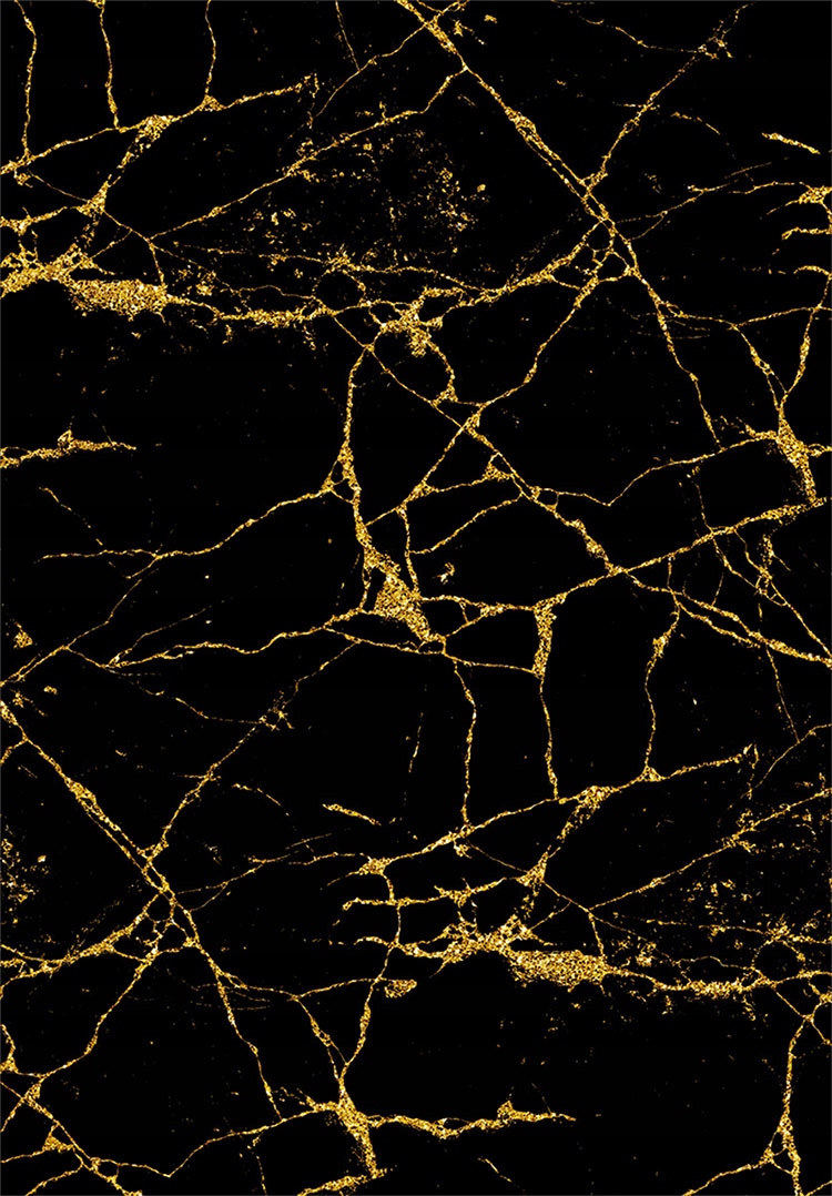 

Dywan Porte 120 x 180 CM Czarny Złoty Marmur