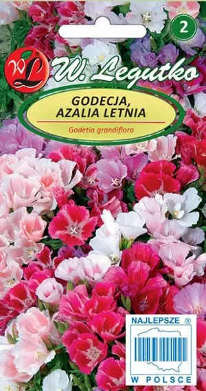 Nasiona Godecja, Azalia letnia mieszanka, 1g — 7