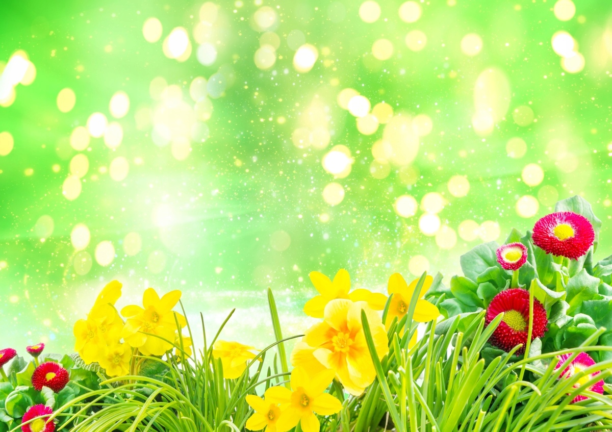 

Tapeta flizelinowa Wielkanoc Kwiaty 312x219