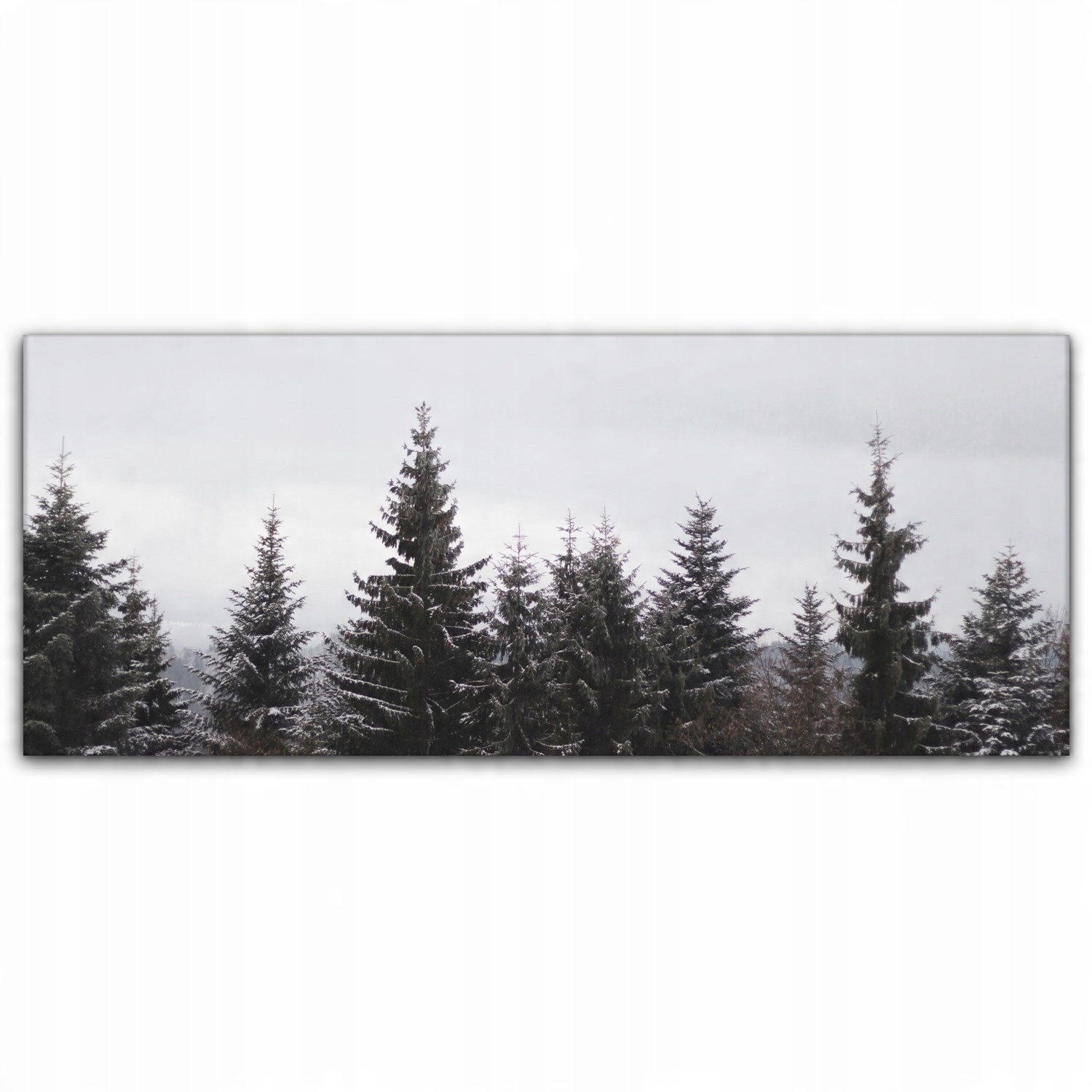 

Canvas na ramie ścienny 125x50 Drzewa Las Natura