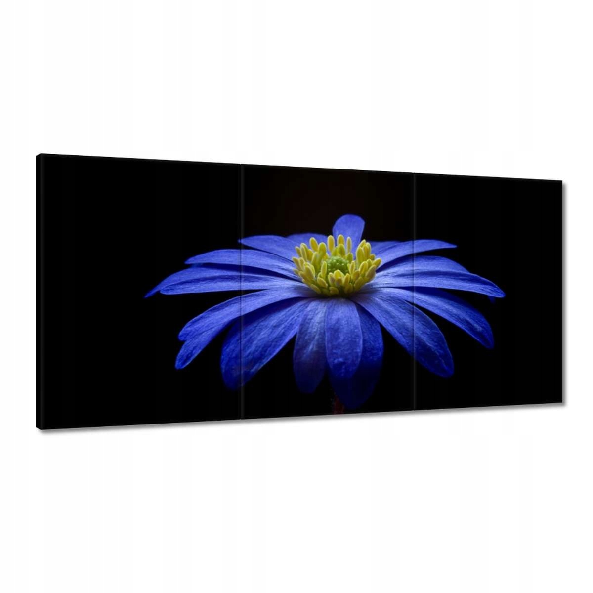 Obrazy 180x90 Modrý kvet