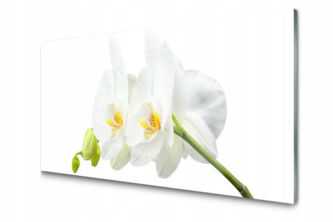 

Panel szklany Płytka Biały Storczyk 140x70