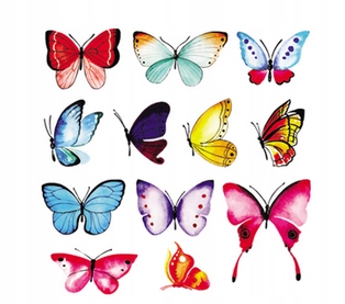 

Termo Naklejka Aplikacja Motyle G70