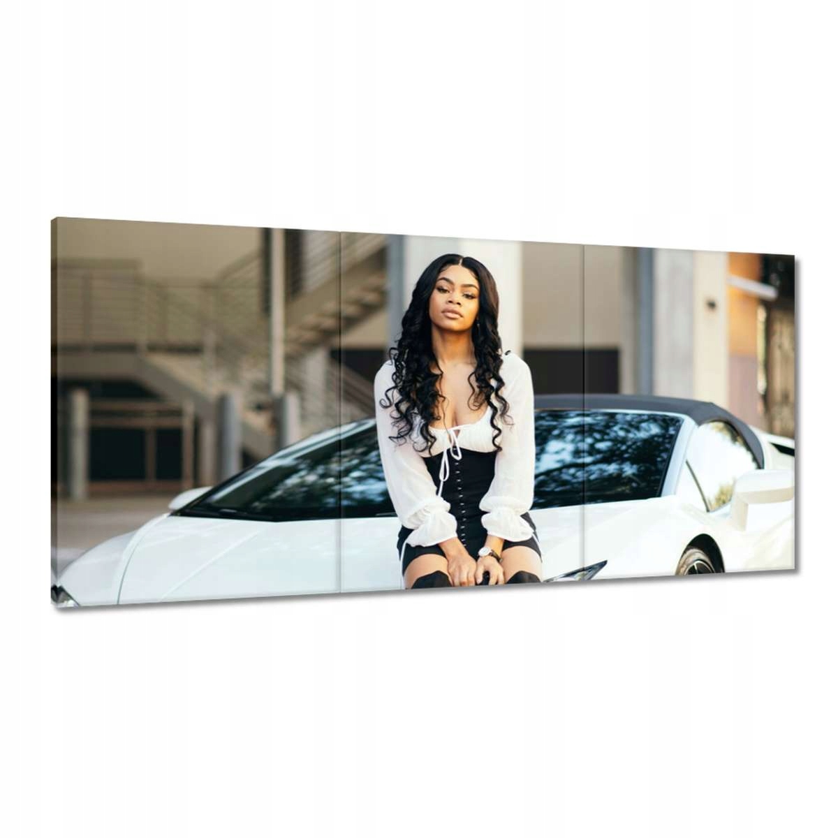 Obrazy 180x90 Laska a biele auto Fura