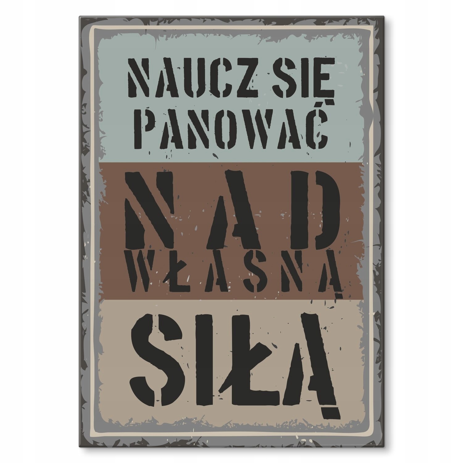 Kovový plakát Naučte se ovládat Dárek 42 x 59 cm