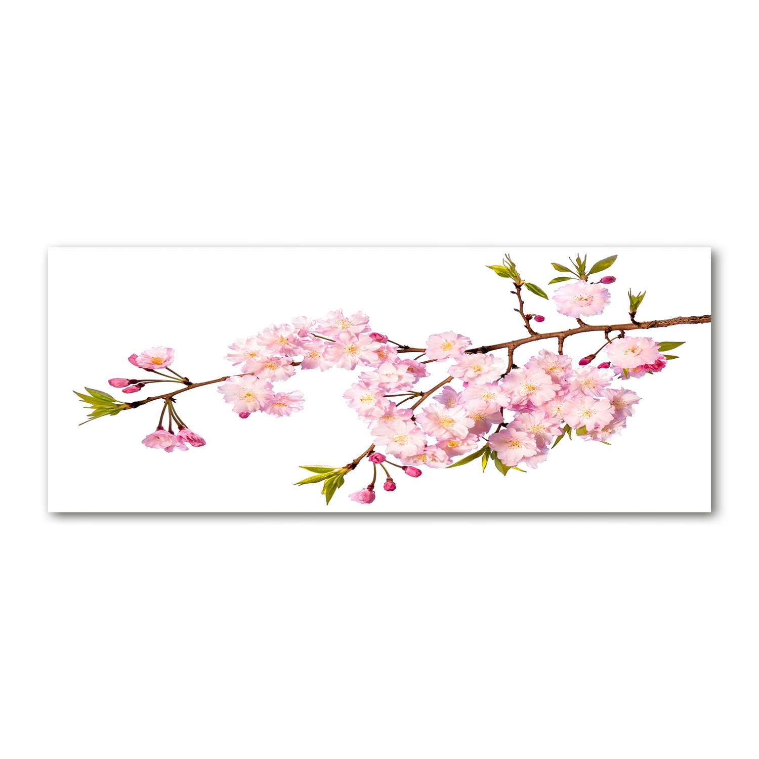 

Foto obraz akryl nowoczesny Dzika róża 125x50 cm