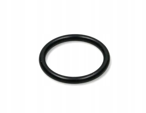 DeLonghi uszczelka zaparzacz Oryginał