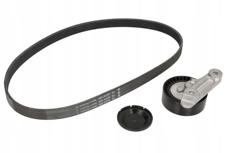 Zestaw pasków wielor (z rolk) INA 529 0160 10 Producent części INA