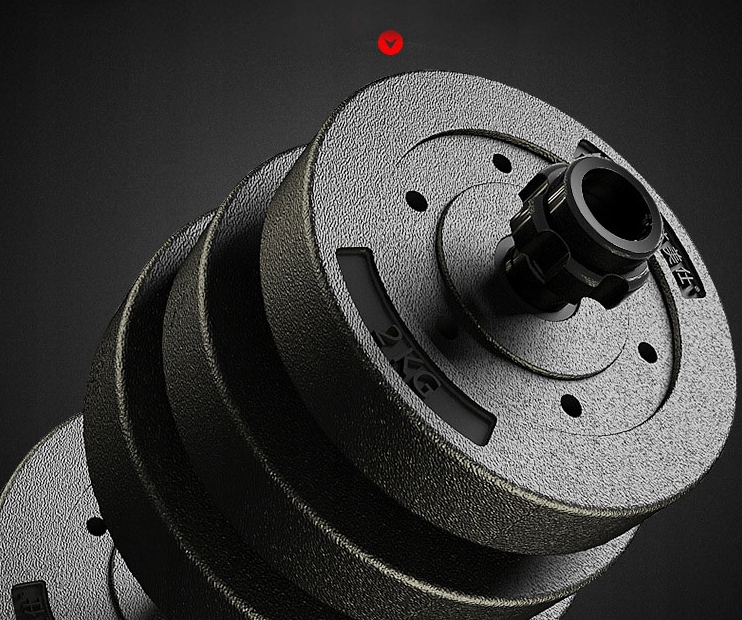 HANTLE 20KG ZESTAW 2X10KG TRENING SIŁOWNIA FITNESS Typ regulowane